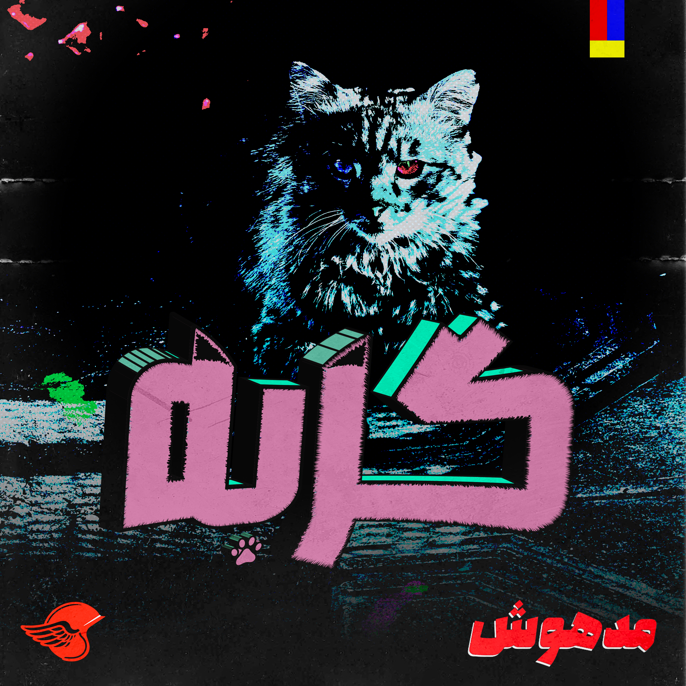 گربه - پشت صحنه 2